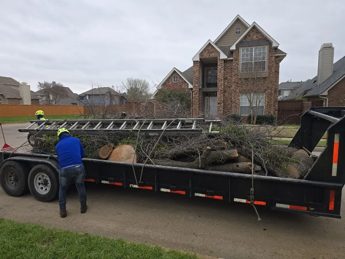 Expert Tree Removal with proper safety equipment in Pilot Knob